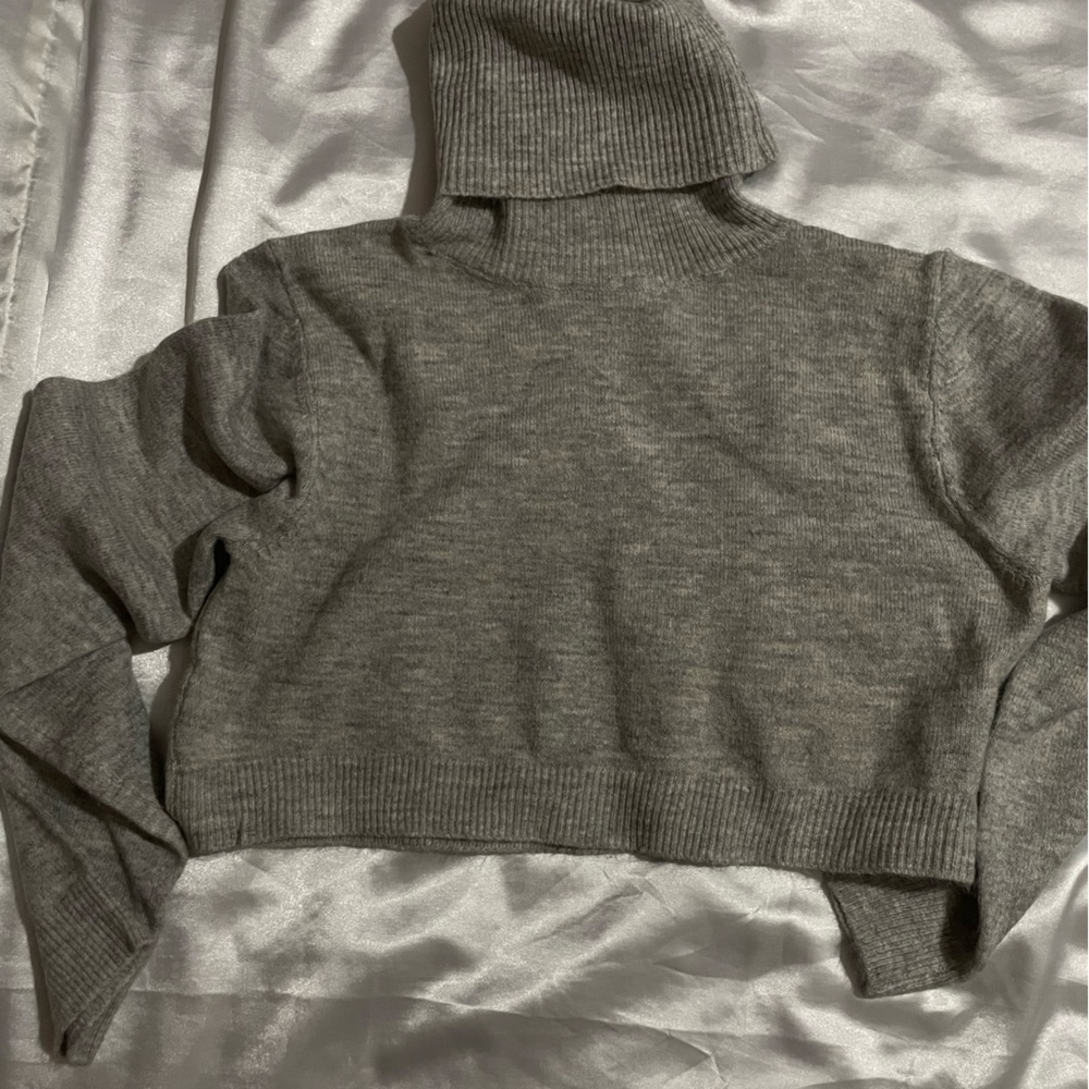 Crop turtle neck